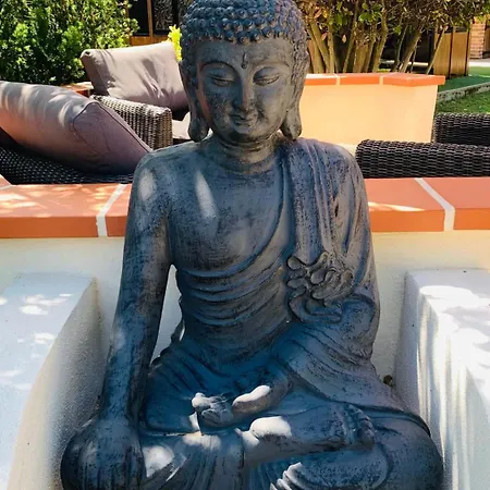 D'hotes Au Clos Georges Bed & Breakfast Saint-Jory